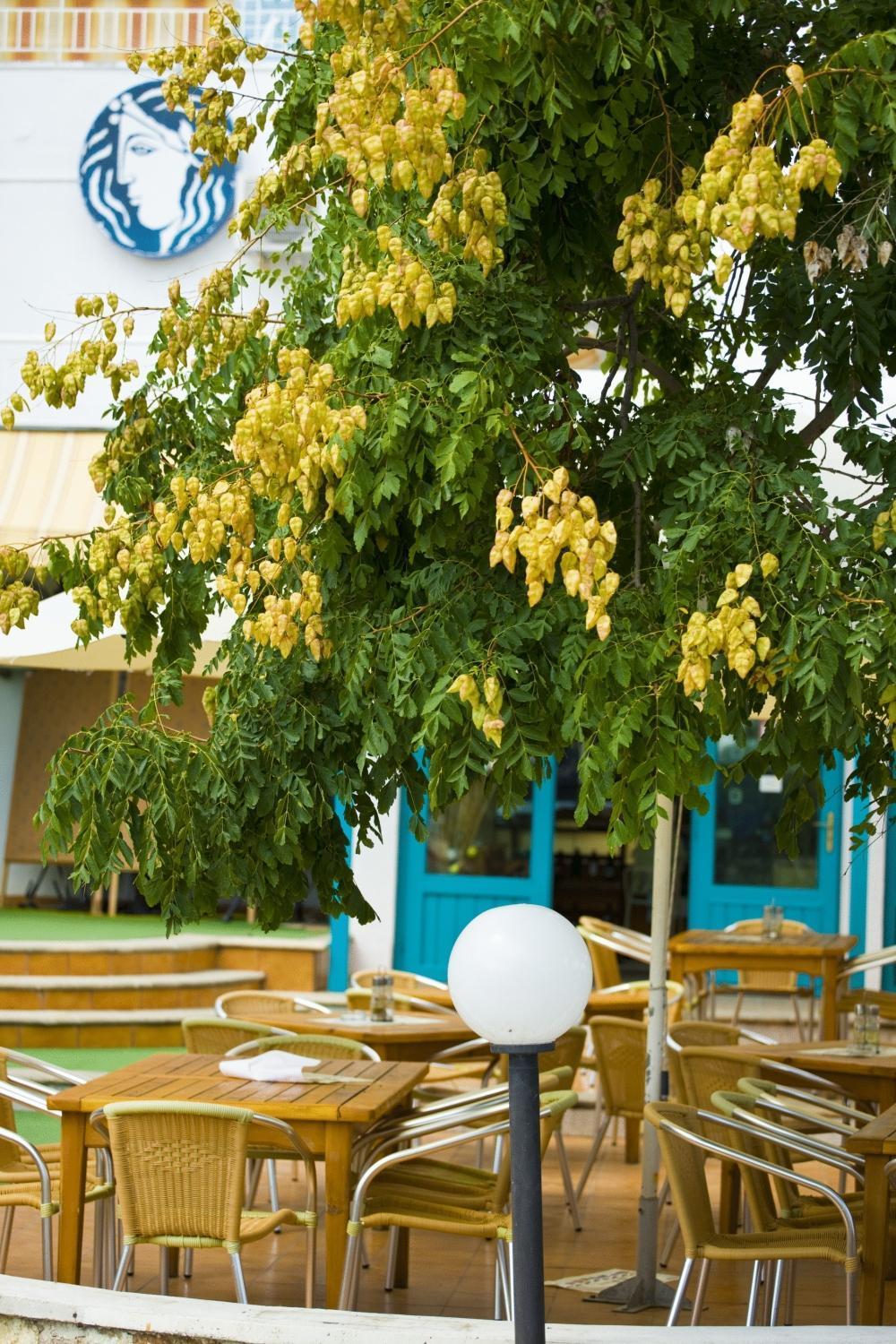 Kaliopa Hotel Albena Esterno foto
